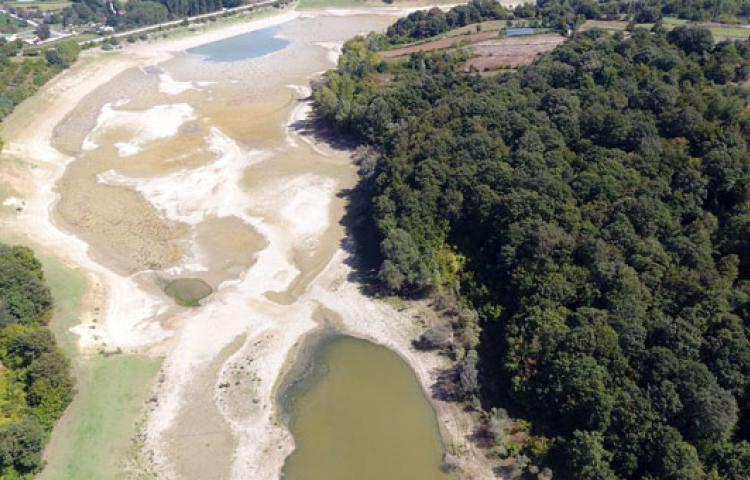 O gölette balıklar telef oldu