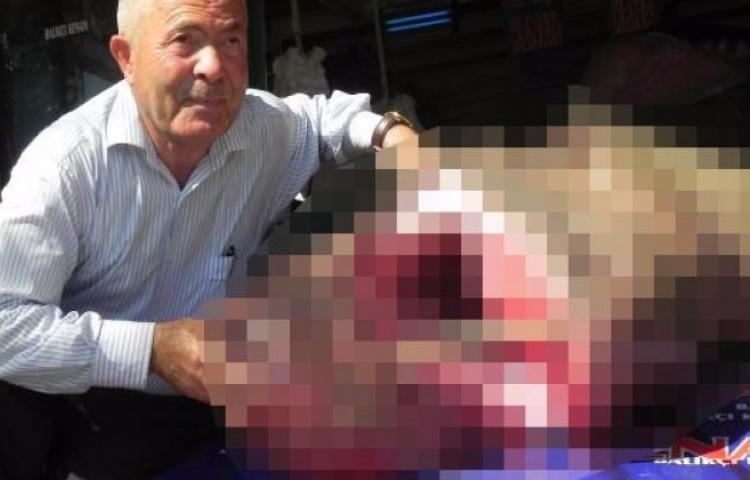 Marmara’da yakalandı! Görenleri şaşırttı!