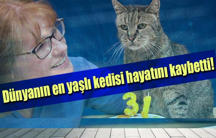 Dünyanın en yaşlı kedisi hayatını kaybetti