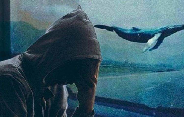 BTK'dan 'Mavi Balina' uyarısı!