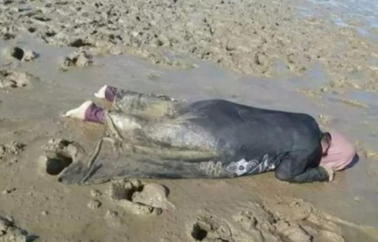 İnsanlığın bittiğini gösteren fotoğraf!