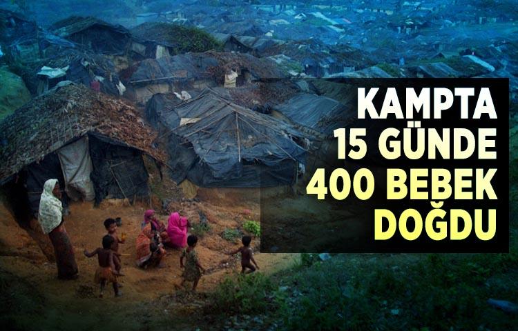 Kampta 15 günde 400 bebek doğdu