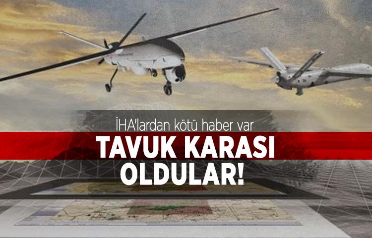 İHA'lardan kötü haber var, tavuk karası oldular
