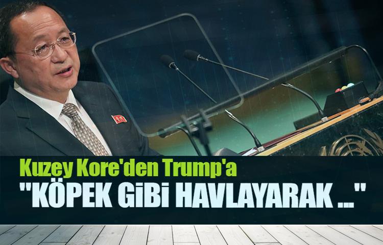 Kuzey Kore'den Trump'a 'havlayan köpek' benzetmesi