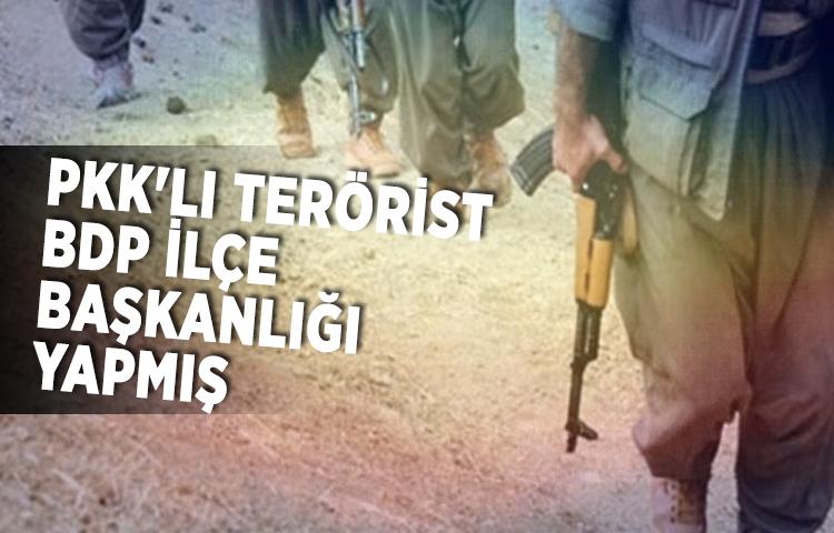 PKK'lı teröristin BDP İlçe Başkanlığı yaptığı ortaya çıktı