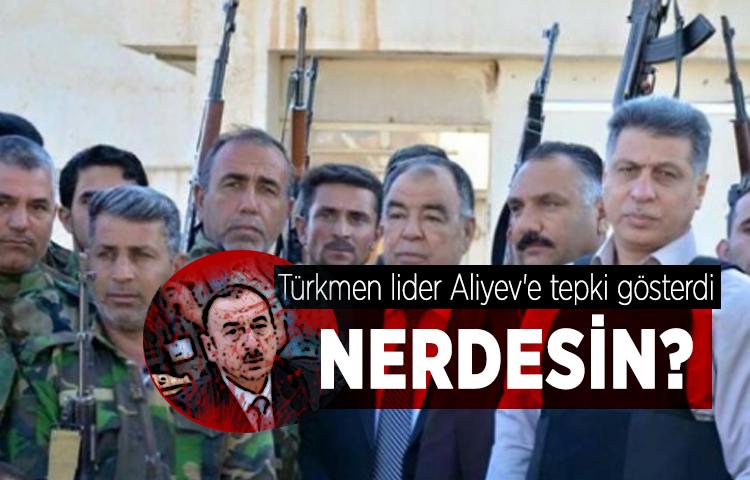 Türkmen lider Aliyev'e tepki gösterdi