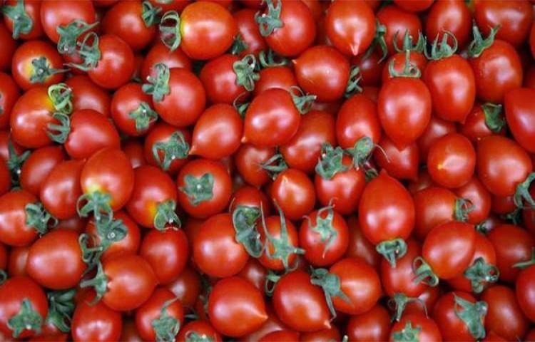 Türkiye ve Rusya sonunda anlaştı!