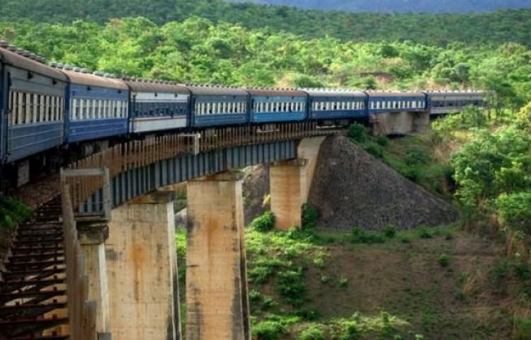 Türk firmasına dev ihale!