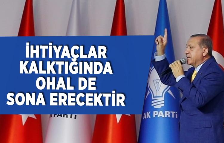 Erdoğan'dan flaş OHAL açıklaması