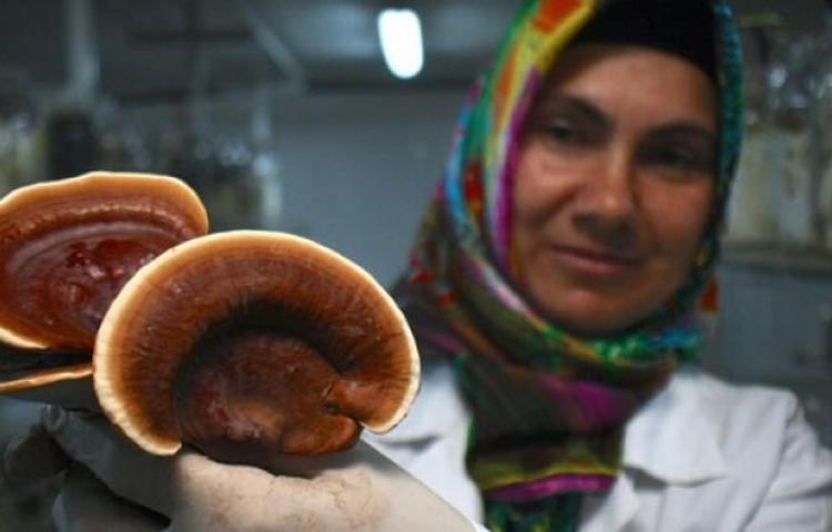 Kilosu 2 bin TL'den kapış kapış satılıyor