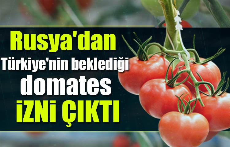Rusya'dan Türkiye'nin beklediği domates müjdesi geldi! İzin çıktı