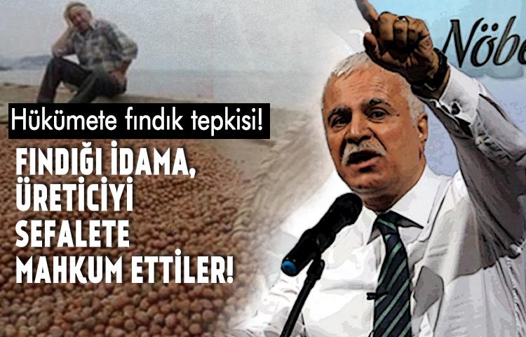 Koray Aydın'dan hükümete fındık tepkisi!