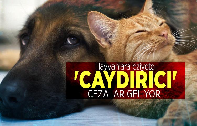 Hayvanlara eziyete 'caydırıcı' cezalar geliyor