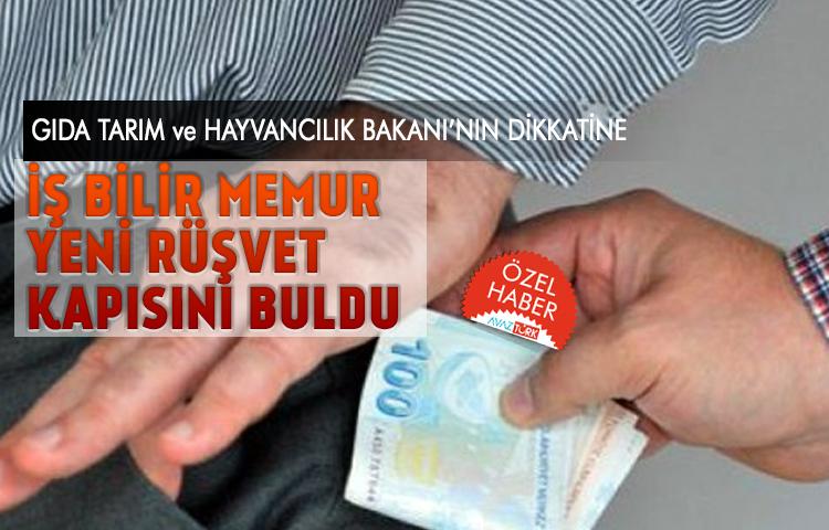 İş Bilir Memur Yeni Rüşvet Kapısını Buldu