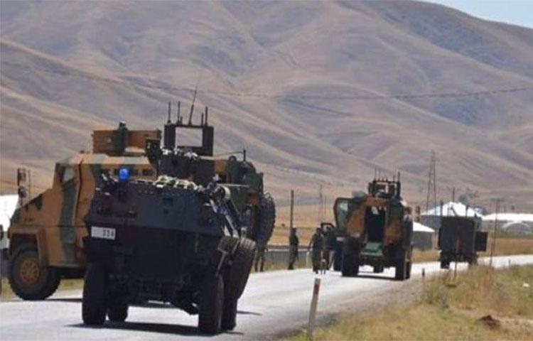 Diyarbakır'da yakalandı imha edildi