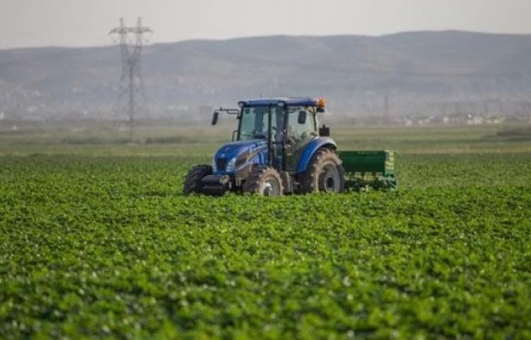 Ucuz gıda için vergi hamlesi