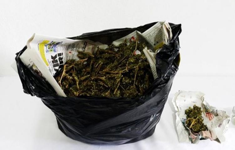 Bisküvi paketinde bonzai