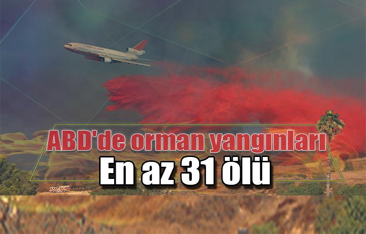 ABD'de orman yangınları: En az 31 ölü