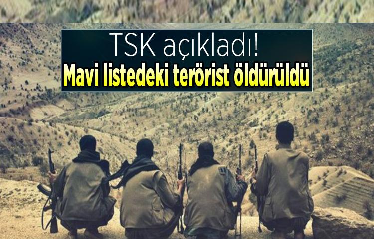 TSK açıkladı! Mavi listedeki terörist öldürüldü