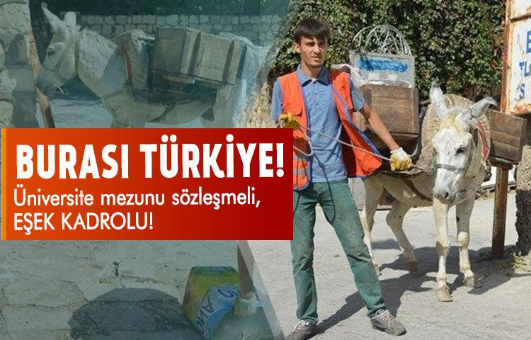 Üniversite mezunu sözleşmeli, Eşek kadrolu çalışıyor!