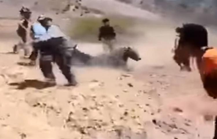 Ayı Peşmergelere saldırdı