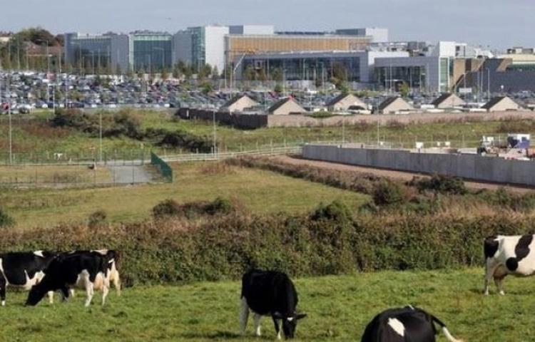 Çevrecilerin itirazları Apple'a karşı çaresiz kaldı!