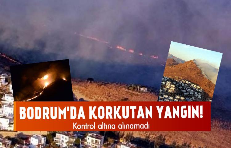 Bodrum'da korkutan yangın!