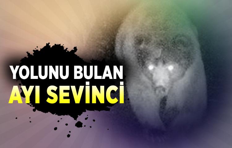 Yolunu bulan ayı sevinci