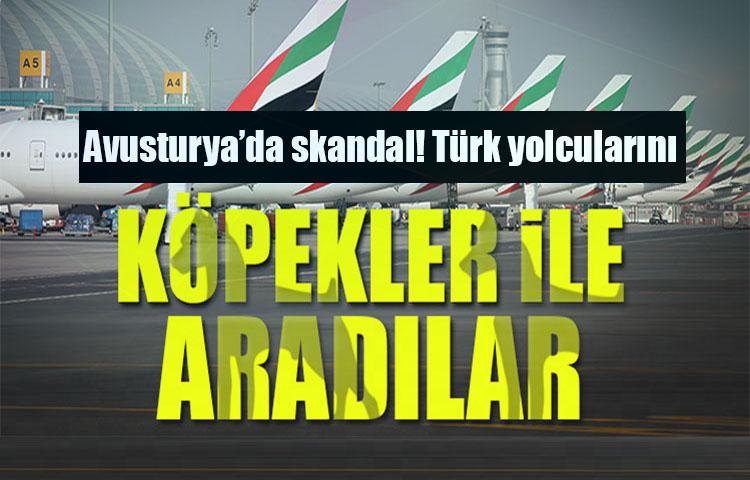 Avusturya polisi Türk yolcuları köpeklerle aradı!