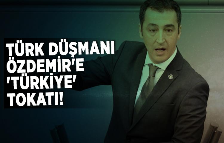 Türk düşmanı Özdemir'e 'Türkiye' tokatı!