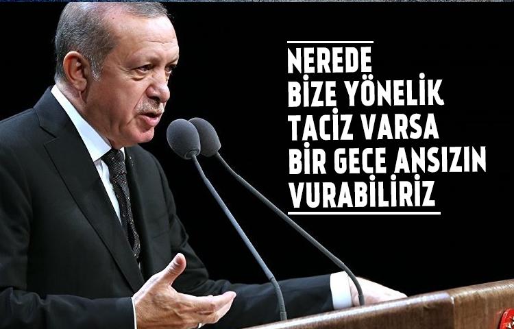 Erdoğan : Nerede bize yönelik taciz varsa, bir gece ansızın vurabiliriz
