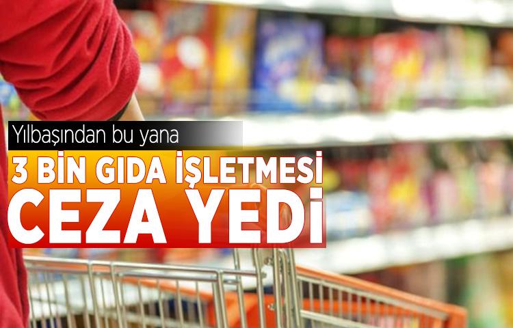 Yılbaşından bu yana 3 bin gıda işletmesi ceza yedi