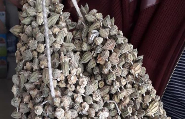 Kuru bamya gram altınla yarışıyor