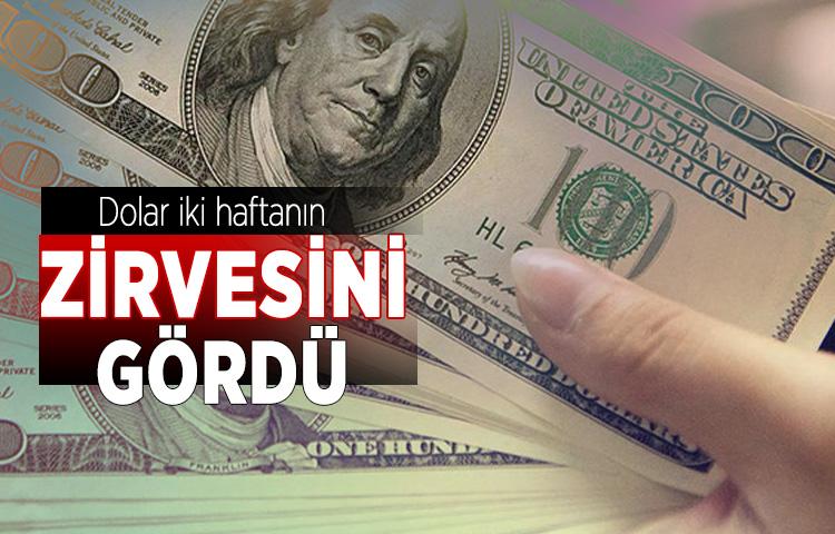 Dolar iki haftanın zirvesini gördü