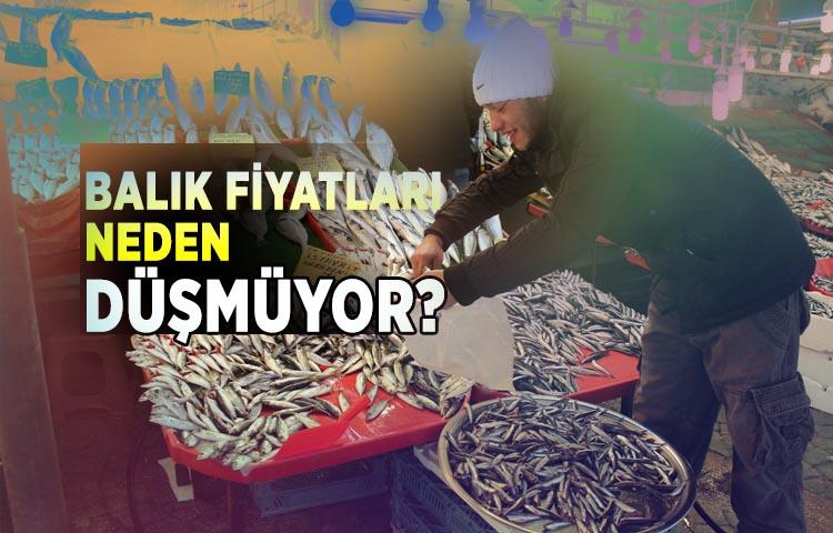 Balık fiyatları neden düşmüyor?