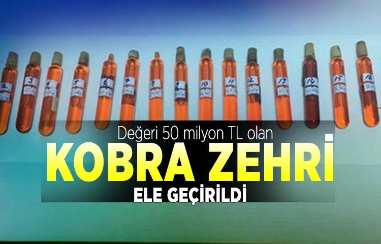 Ankara polisinden 'kobra zehiri' operasyonu!