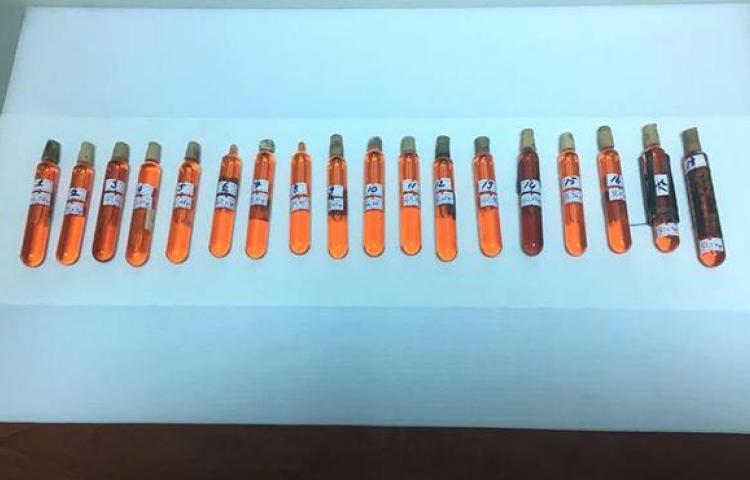 Ankara polisinden  'kobra' operasyonu