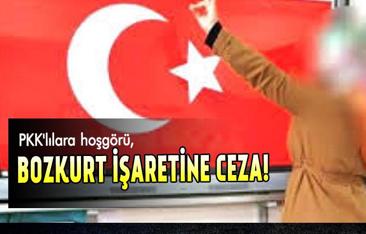 PKK'lılara hoşgörü, bozkurt işaretine ceza!