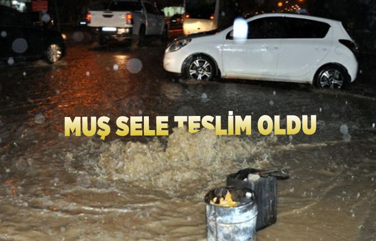 Muş sele teslim oldu