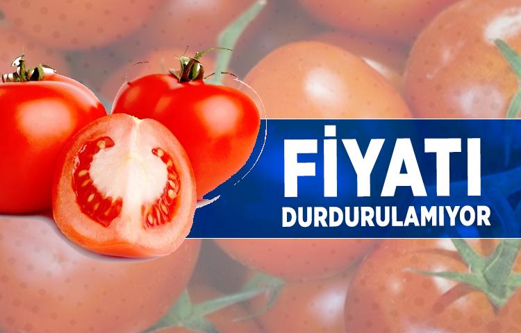 Domatesin fiyatı durdurulamıyor