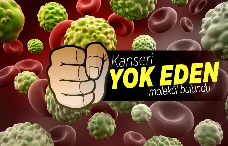Kanseri yok eden molekül bulundu