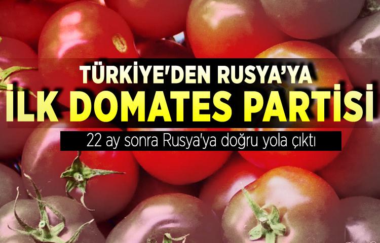 Türkiye'den Rusya’ya ilk domates partisi  