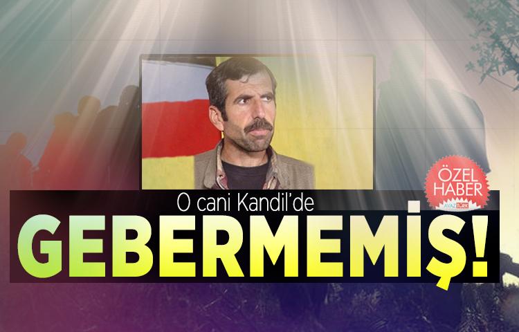 O cani Kandil’de gebermemiş!