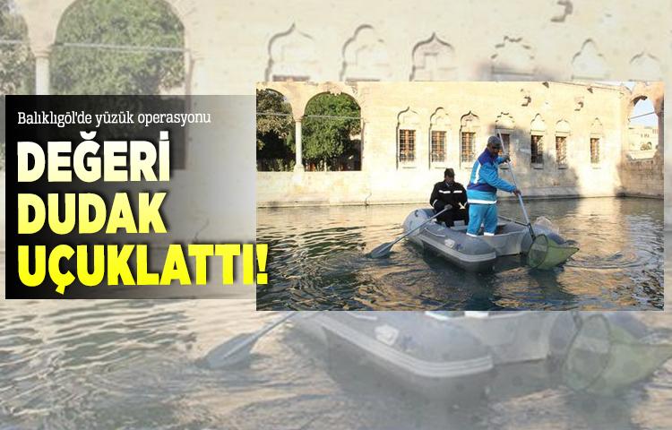 Balıklıgöl'de yüzük operasyonu