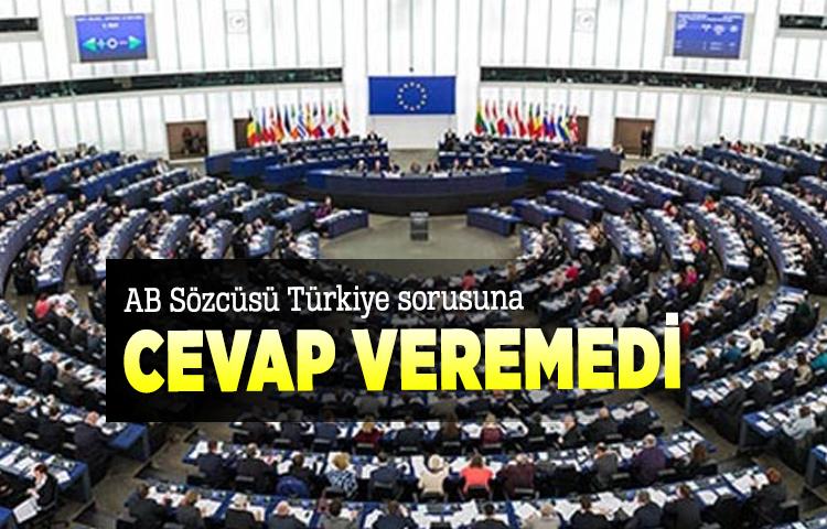 AB Sözcüsü Türkiye sorusuna cevap veremedi