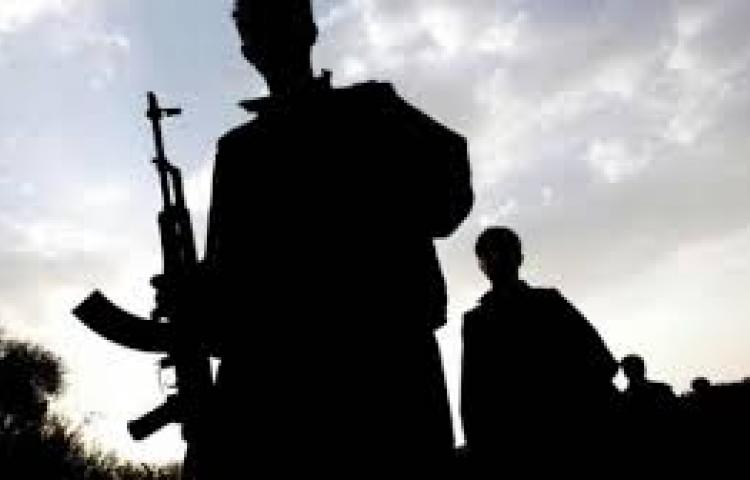 PKK'lı teröristler Almanya'yı birbirine kattı