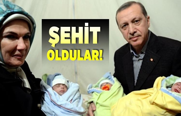 Recep, Tayyip, Erdoğan kardeşler şehit oldu