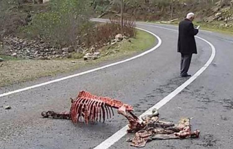 Görenler şaştı kaldı!