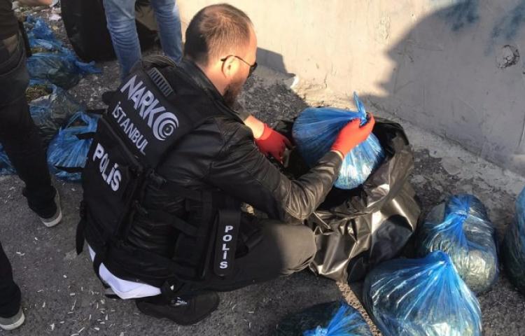 Boş arazide 50 kg esrar ele geçirildi!