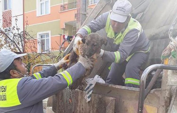 İnsalıktan utandıran haber!
